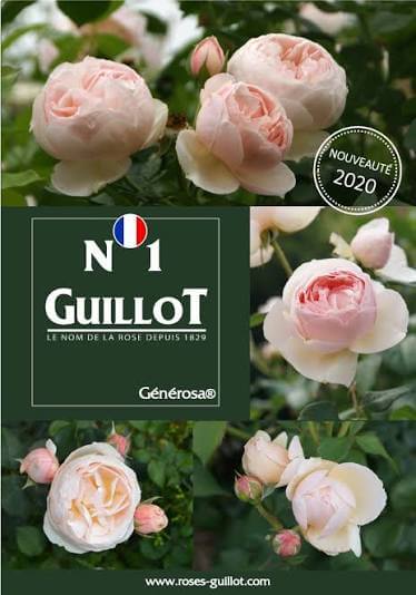 Guillot N°1