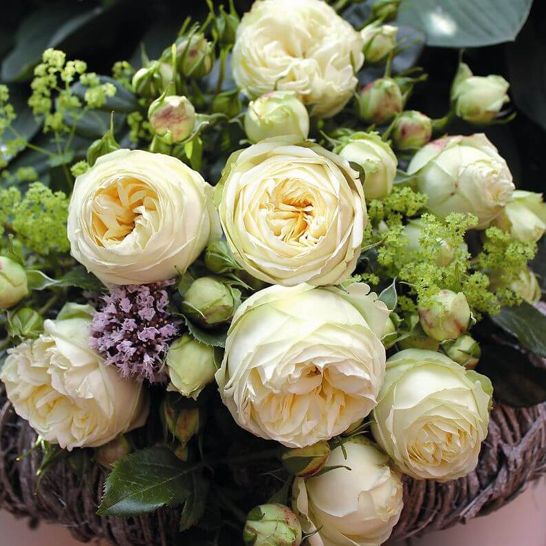 Wedding Piano